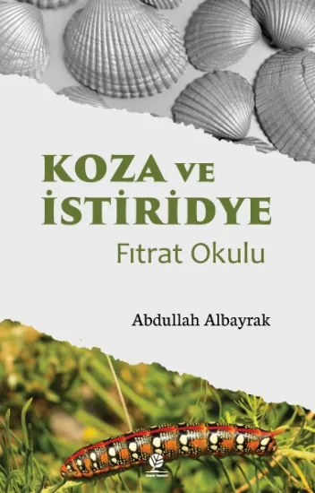 Koza ve İstiridye Fıtrat Okulu
